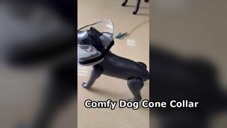 Inflatable Dog Cone Collar Soft Comfortable E Collar