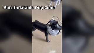 Inflatable Dog Cone Collar: Washable Cloth Cover, Adjustable Inflatable Inner—Soft, Comfortable E-Co